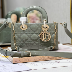 Dior Medium Horizontal Diana Bag - Rock Gray Gold Buckle 22906