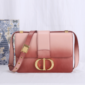 Dior Montaigne Gradient Color Bag - Brown 56099