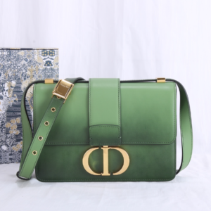 Dior Montaigne Gradient Color Bag - Green 34453