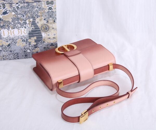 Dior Montaigne Gradient Color Bag - Brown 56099 - Image 4