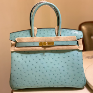 Hermes Ostrich Skin Hand Bag - Blue 67100