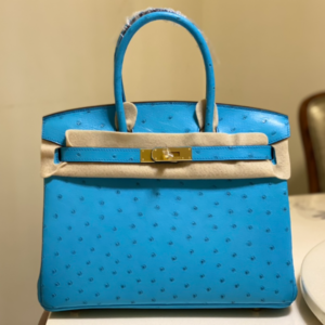 Hermes Ostrich Skin Hand Bag - Blue 73158