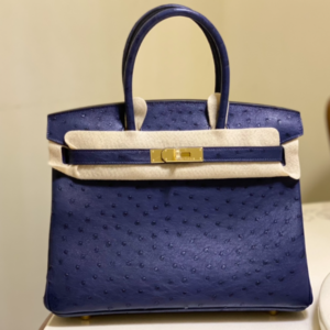 Hermes Ostrich Skin Hand Bag - Dark Blue 15201