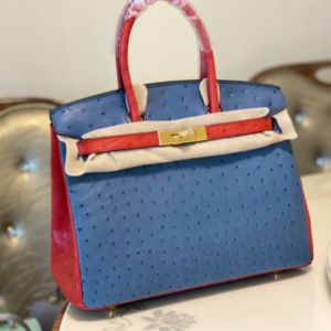 Hermes Ostrich Skin Hand Bag - Blue/Red 77047