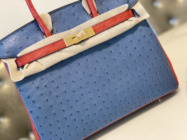 Hermes Ostrich Skin Hand Bag - Blue/Red 77047 - Image 5
