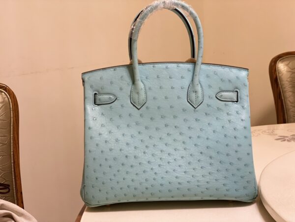 Hermes Ostrich Skin Hand Bag - Blue 67100 - Image 3