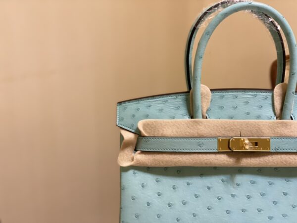 Hermes Ostrich Skin Hand Bag - Blue 67100 - Image 5
