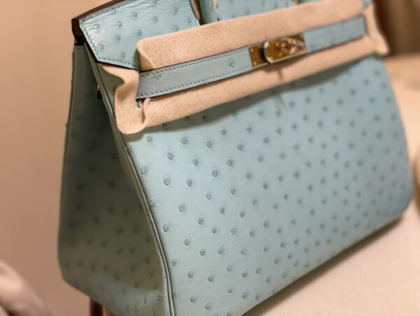 Hermes Ostrich Skin Hand Bag - Blue 67100 - Image 2