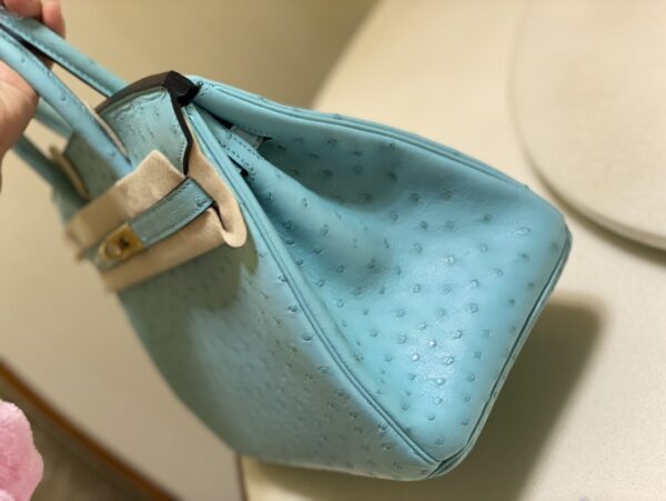 Hermes Ostrich Skin Hand Bag - Blue 67100 - Image 4