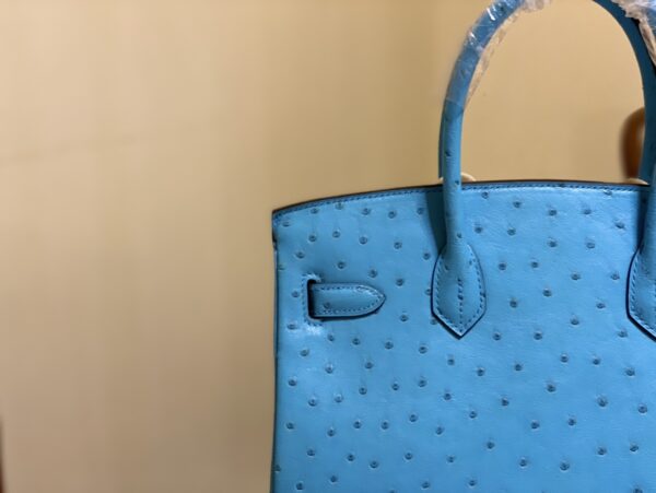 Hermes Ostrich Skin Hand Bag - Blue 73158 - Image 3
