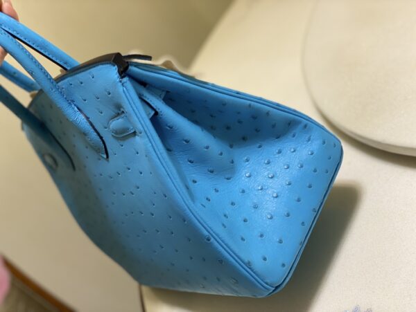 Hermes Ostrich Skin Hand Bag - Blue 73158 - Image 2