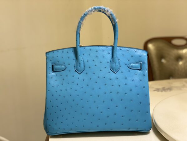 Hermes Ostrich Skin Hand Bag - Blue 73158 - Image 4