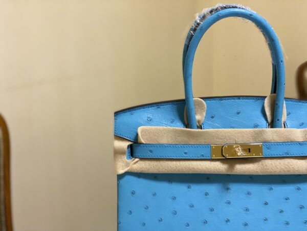 Hermes Ostrich Skin Hand Bag - Blue 73158 - Image 5
