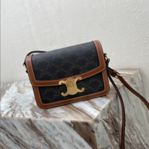 Celine Teen Triomphe Canvas And Calfskin Handbag 26868