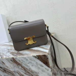 Celine Teen Triomphe Canvas And Calfskin Handbag - Gray 29279