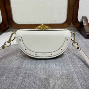 Chloe Nile Catwalk Style Handbag - White 42817
