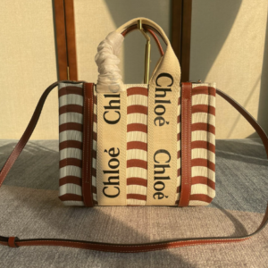 Chloe Woody’s Latest Autumn And Winter Small Tote Bag 72163
