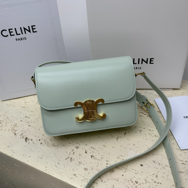 Celine Teen Triomphe Calfskin Handbag - Light Green 72892