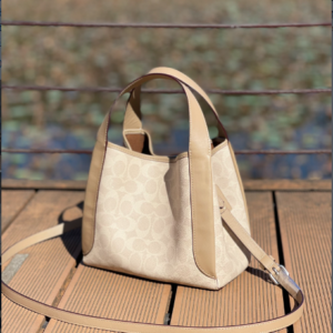 Coach C Family Vegetable Basket Small Handbag - Cream 50209