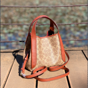 Coach C Family Vegetable Basket Small Handbag - Red 72681