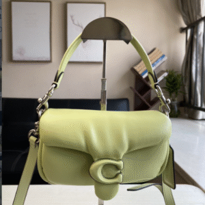Coach Mini Pillow Fat Dionysian Cross-body Bag - Green 20213