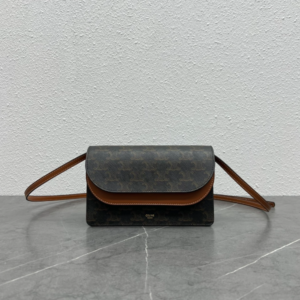 Celine Family Envelope Package Handbag 45729