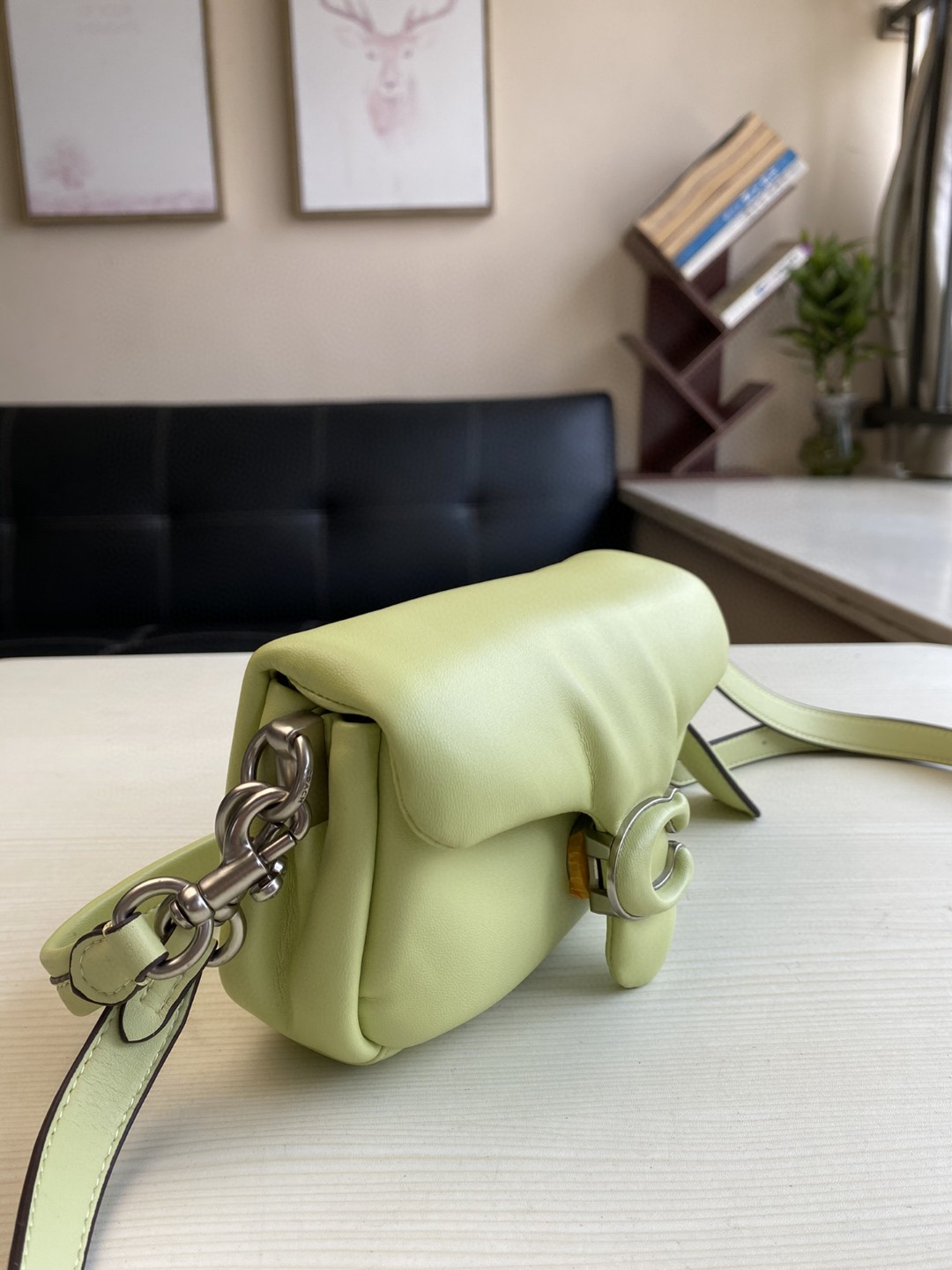 Coach Mini Pillow Fat Dionysian Cross-body Bag - Green 20213 - Image 5