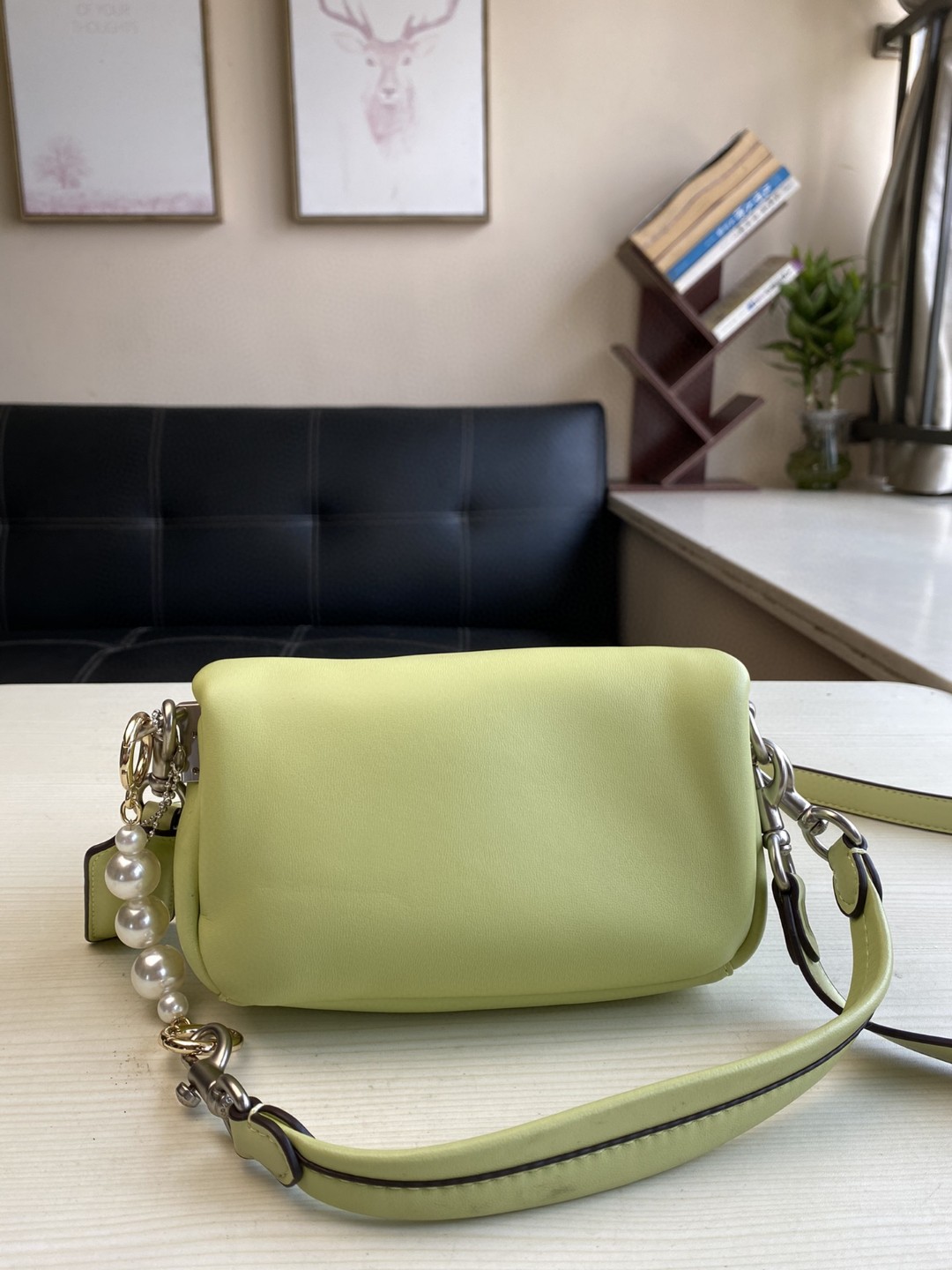 Coach Mini Pillow Fat Dionysian Cross-body Bag - Green 20213 - Image 4