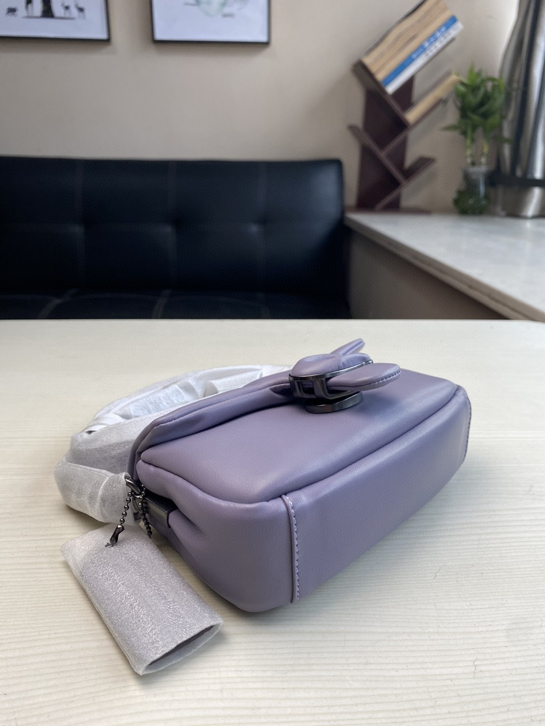 Coach Mini Pillow Fat Dionysian Cross-body Bag - Purple 17548 - Image 4