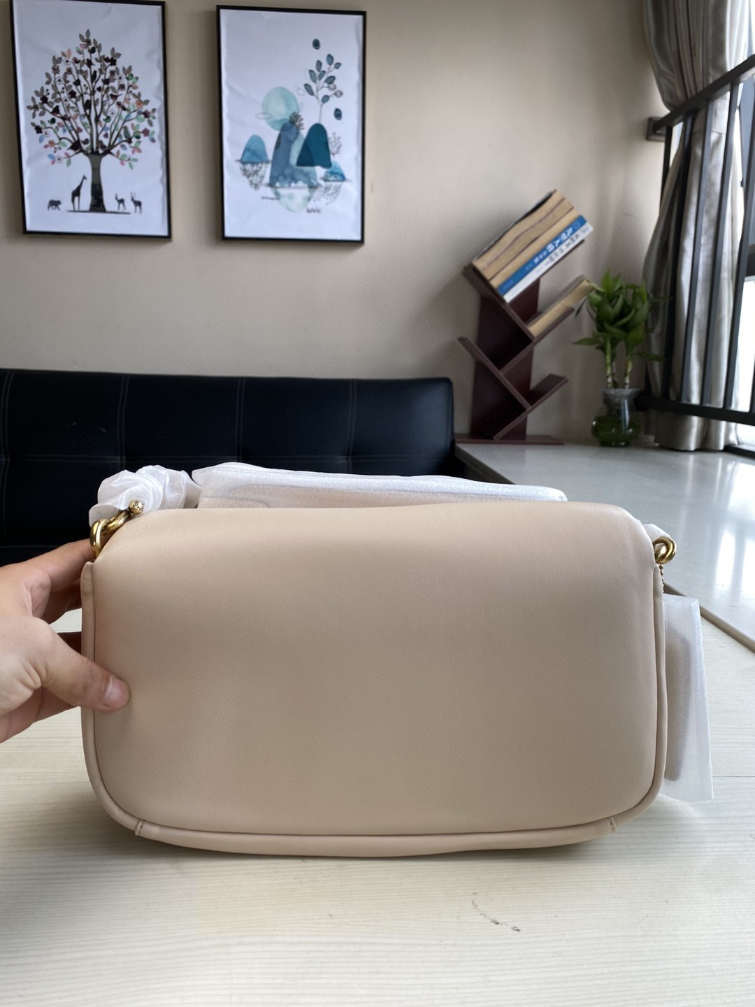 Coach Mini Pillow Fat Dionysian Cross-body Bag - Skin 34800 - Image 2