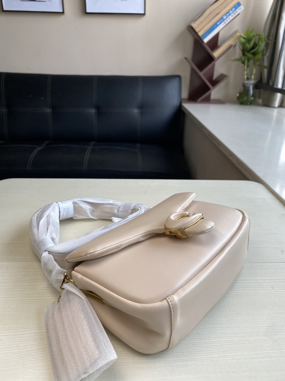 Coach Mini Pillow Fat Dionysian Cross-body Bag - Skin 34800 - Image 3
