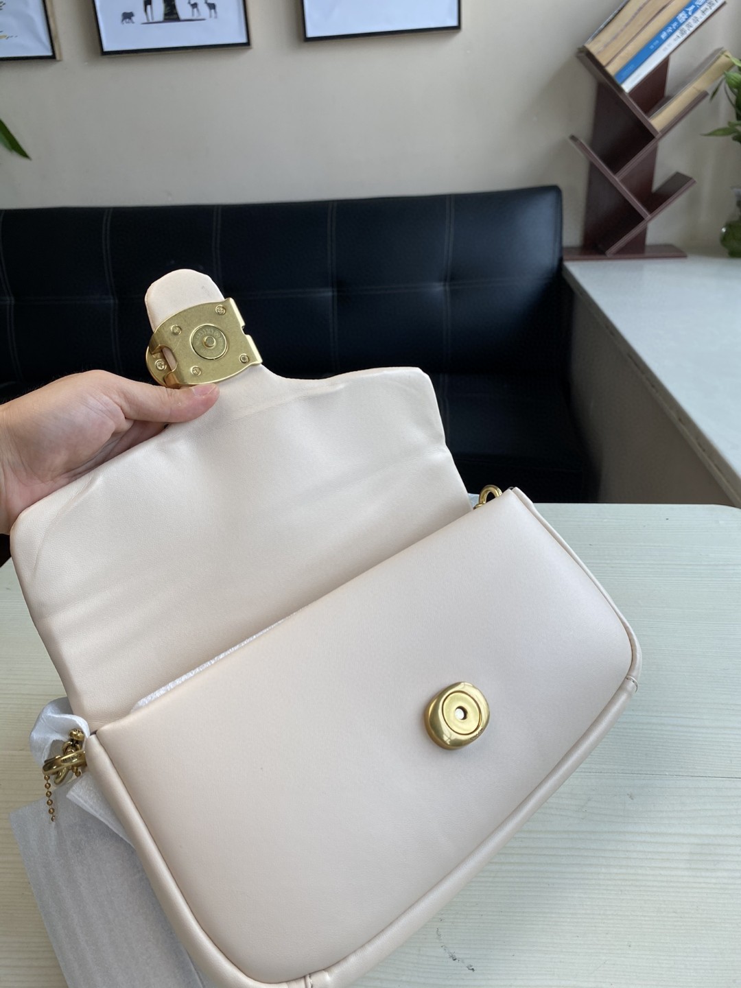 Coach Mini Pillow Fat Dionysian Cross-body Bag - Skin 34800 - Image 4