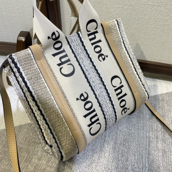 Chloe Rainbow Woody Small Tote Bag 61876 - Image 2