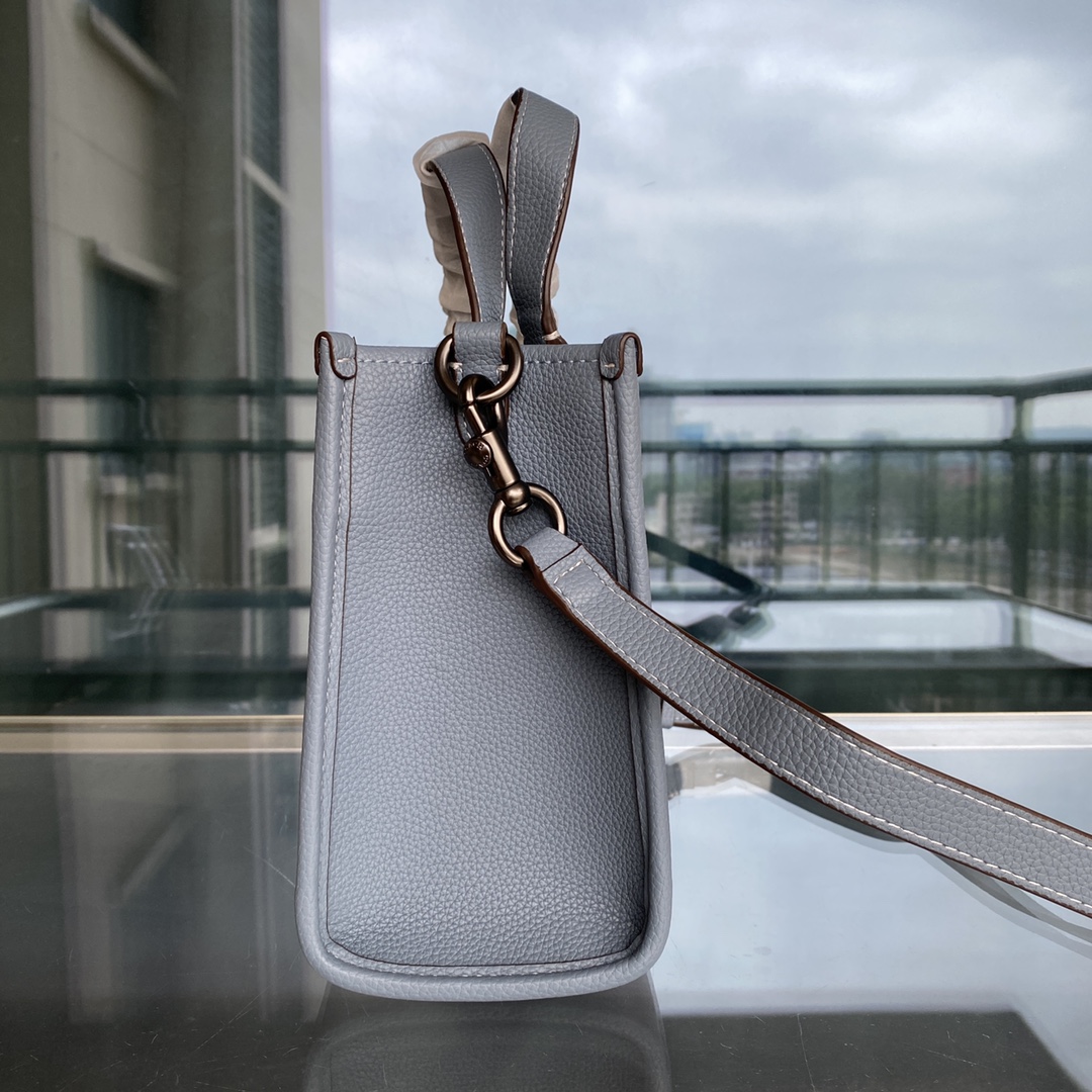 Coach Snoopy Versatile Handbag - Gray 30540 - Image 4