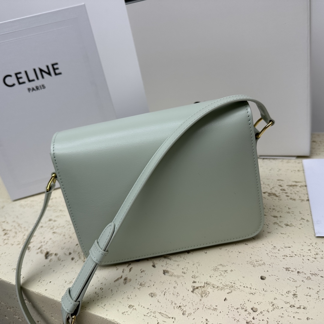 Celine Teen Triomphe Calfskin Handbag - Light Green 72892 - Image 5